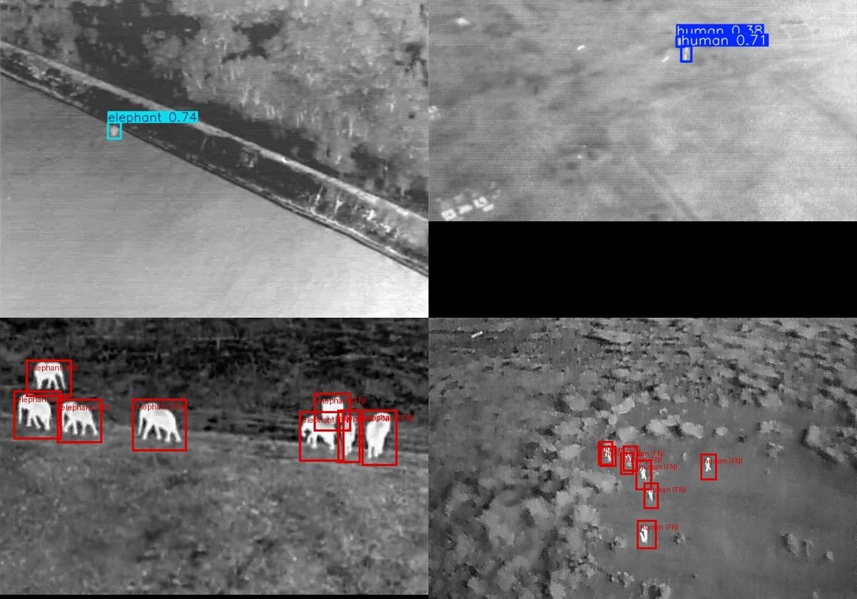 YOLO for Wildlife Detection