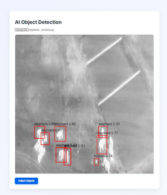 AI Object Detection