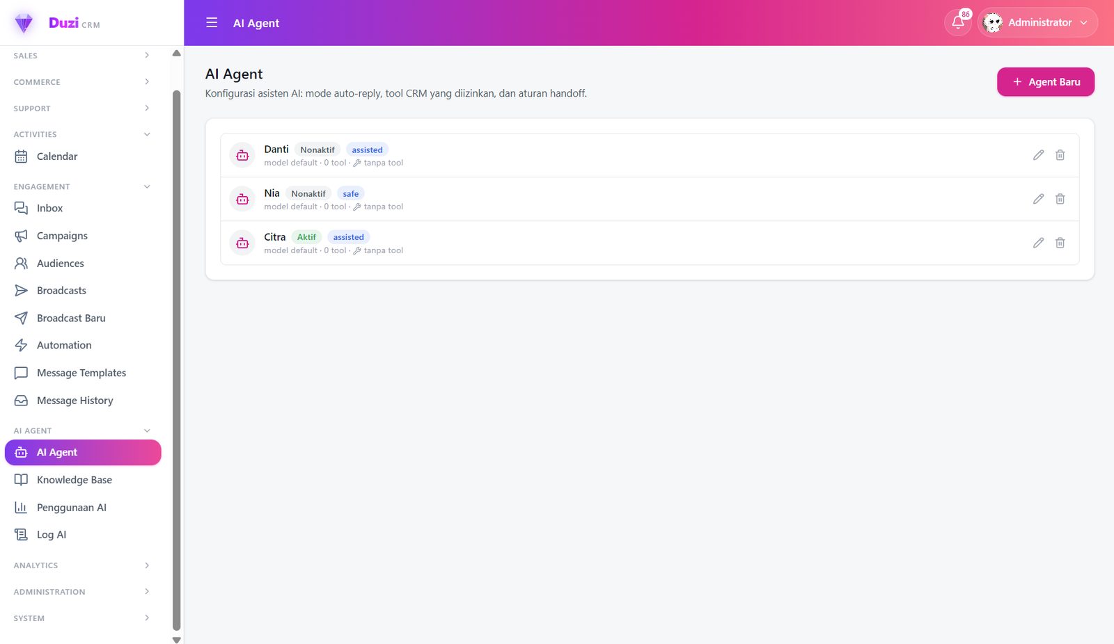 Duzi CRM AI Agent configuration