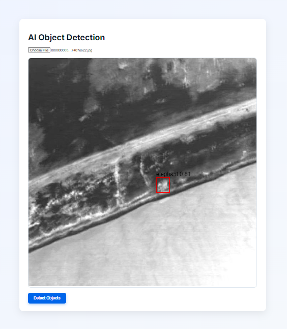 Detection result 2